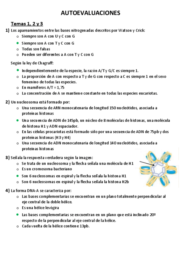 Miniatura del documento Autoevaluaciones.pdf
