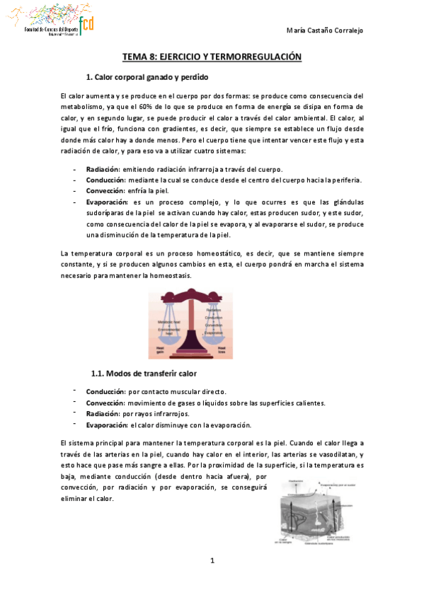 Miniatura del documento TEMA-8-FISIOLOGIA-DEL-EJERCICIO.pdf