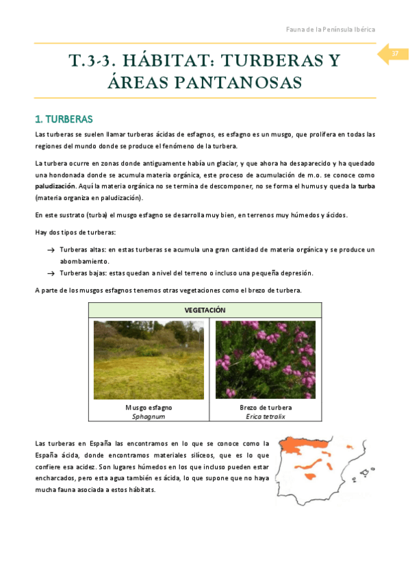 Miniatura del documento T.pdf