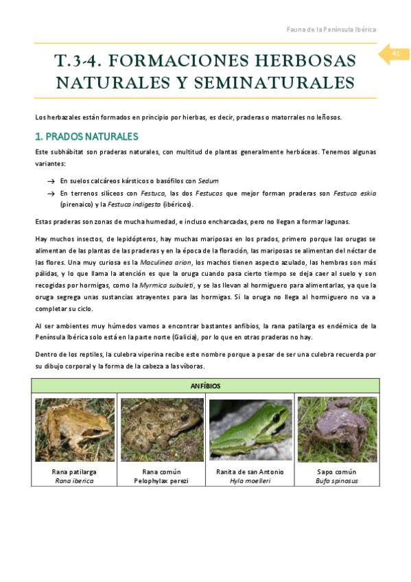 Miniatura del documento T.pdf