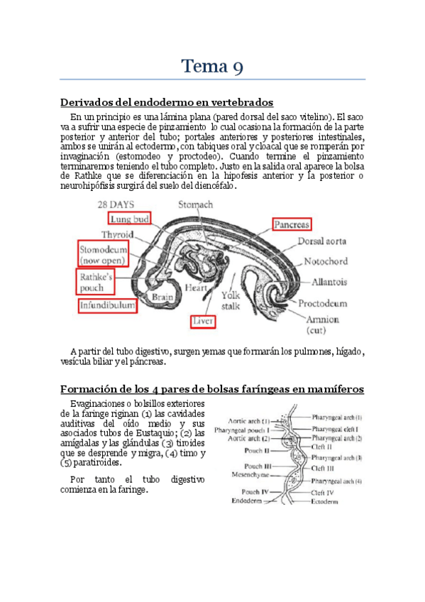 Miniatura del documento bdd Tema 9.pdf