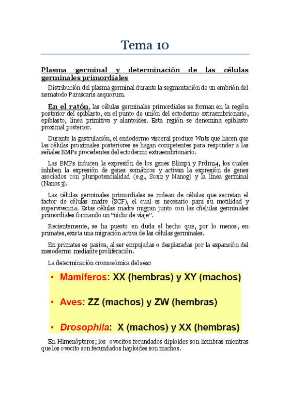 Miniatura del documento bdd Tema 10.pdf