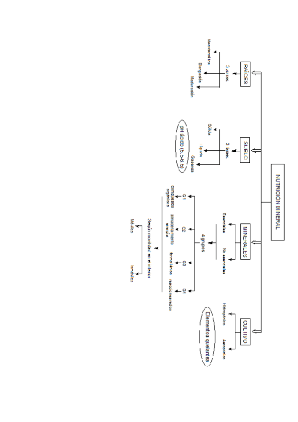 Miniatura del documento T10.pdf