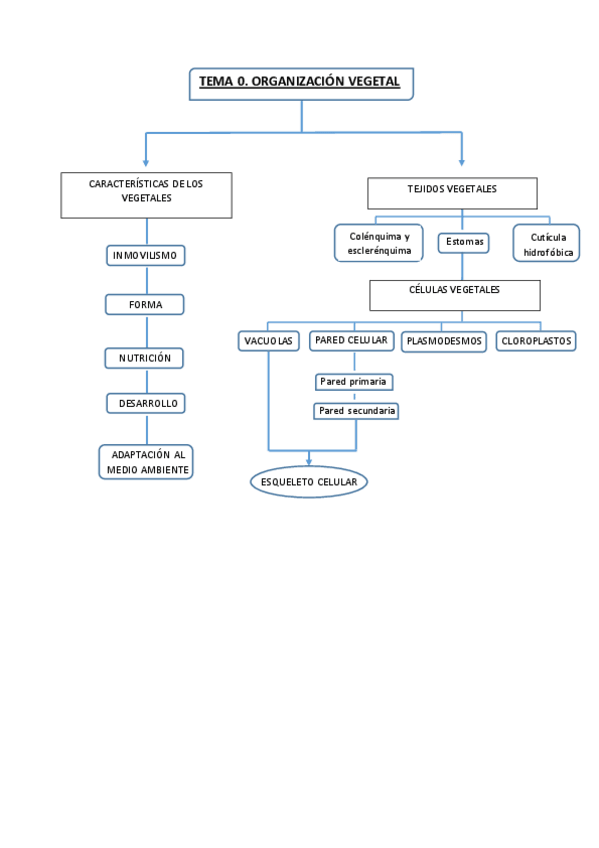 Miniatura del documento T00.pdf