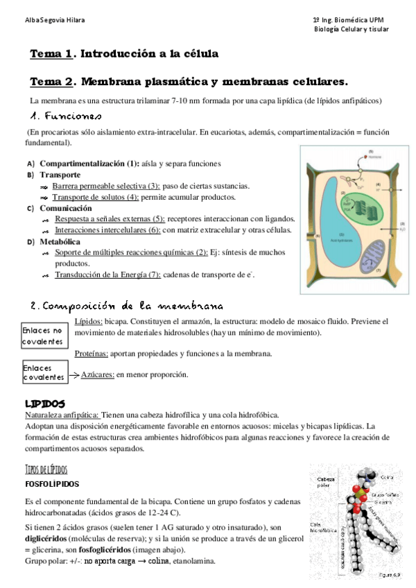Miniatura del documento Tema-2.pdf