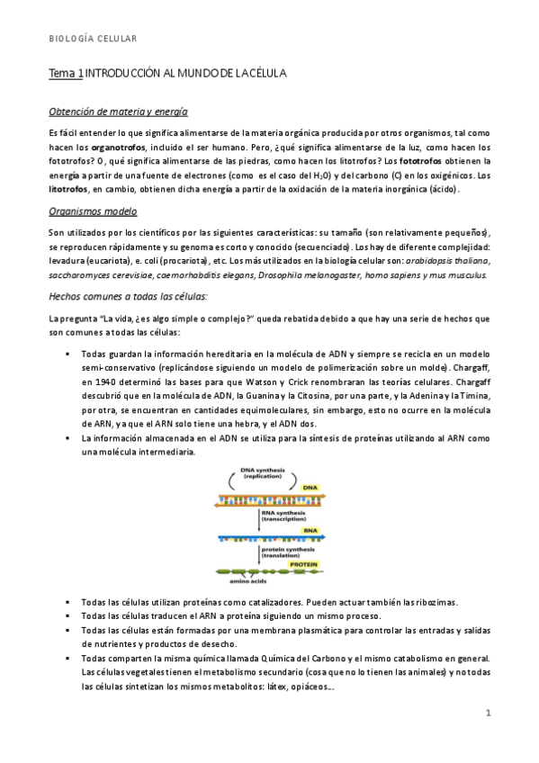 Miniatura del documento bio t1-2 introducción y membranas.pdf
