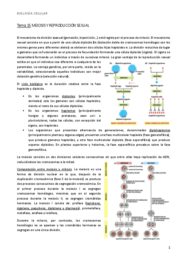 Miniatura del documento bio t15.pdf