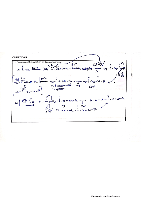 Miniatura del documento PRACTICAS-ORGANICA.pdf