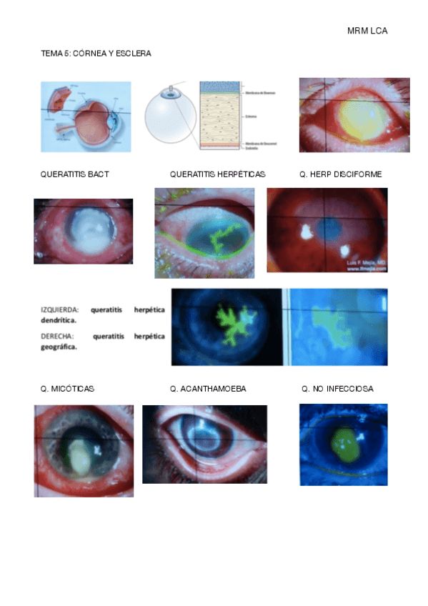 Miniatura del documento TEMA-5.pdf