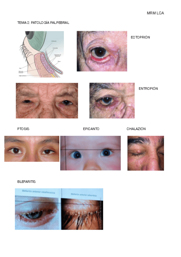 Miniatura del documento TEMA-2.pdf
