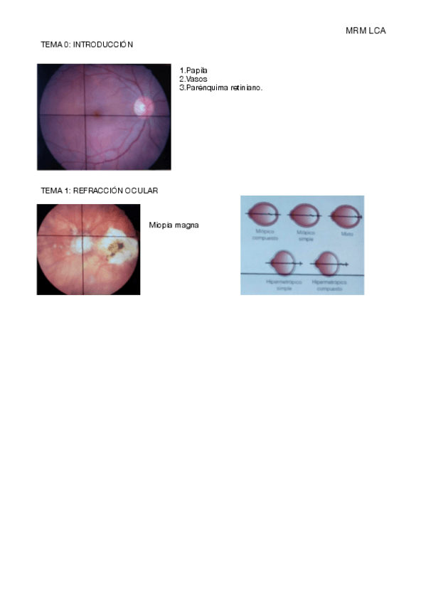 Miniatura del documento TEMA-1.pdf