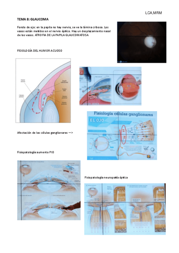 Miniatura del documento TEMA-8.pdf