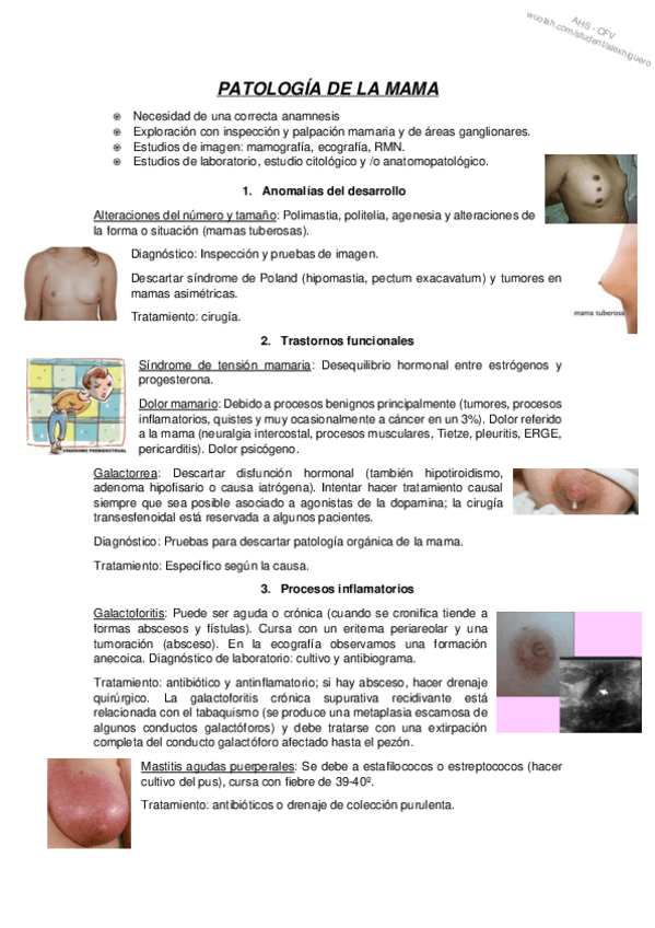 Miniatura del documento T46.pdf