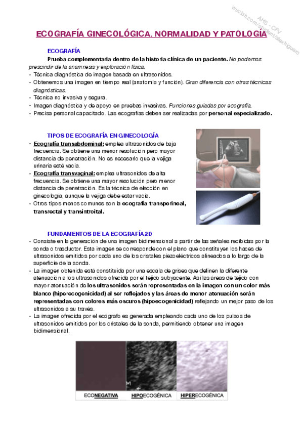 Miniatura del documento S2.pdf