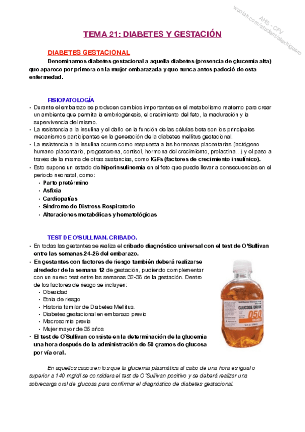 Miniatura del documento T21.pdf