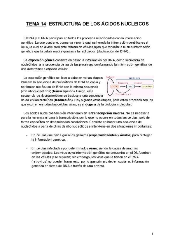 Miniatura del documento Tema-14-BQE.pdf