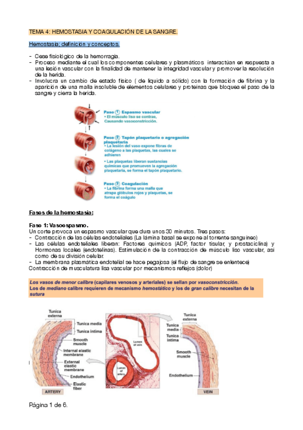 Miniatura del documento TEMA-4.pdf