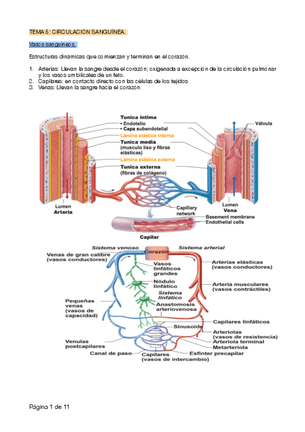 Miniatura del documento tema-5-.pdf