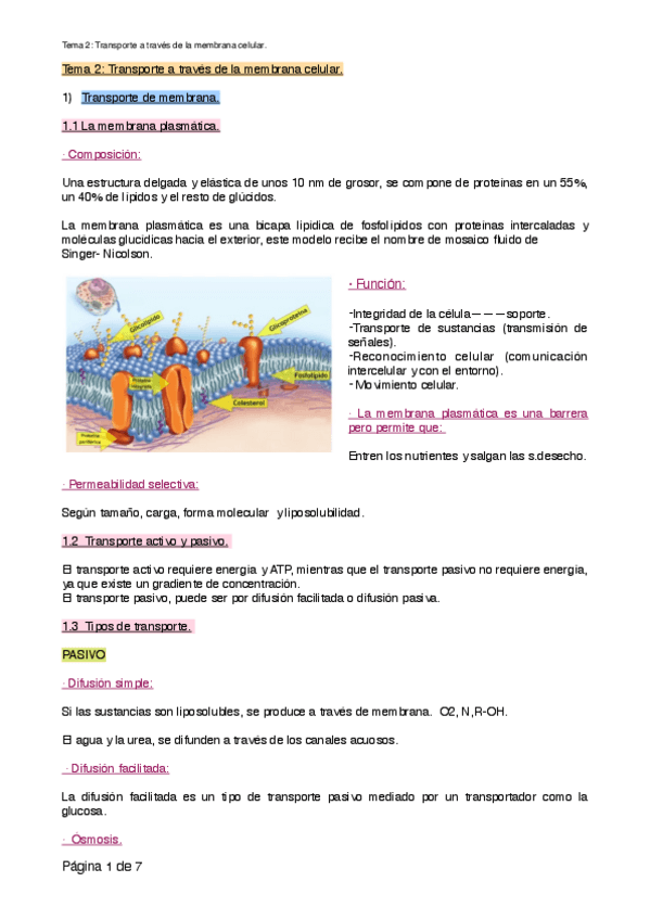 Miniatura del documento TEMA-2-FISIO.pdf