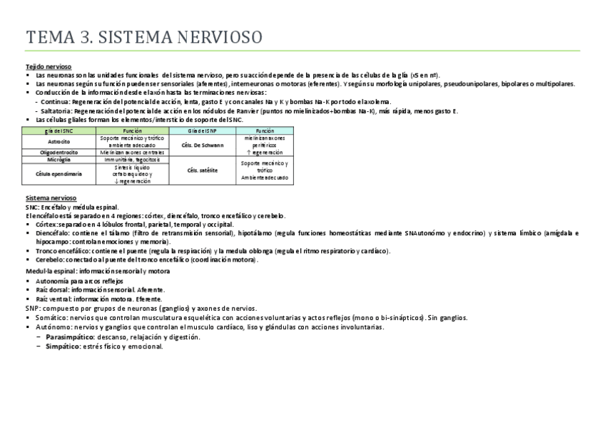 Miniatura del documento TEMA-3-sistema-nervioso.pdf