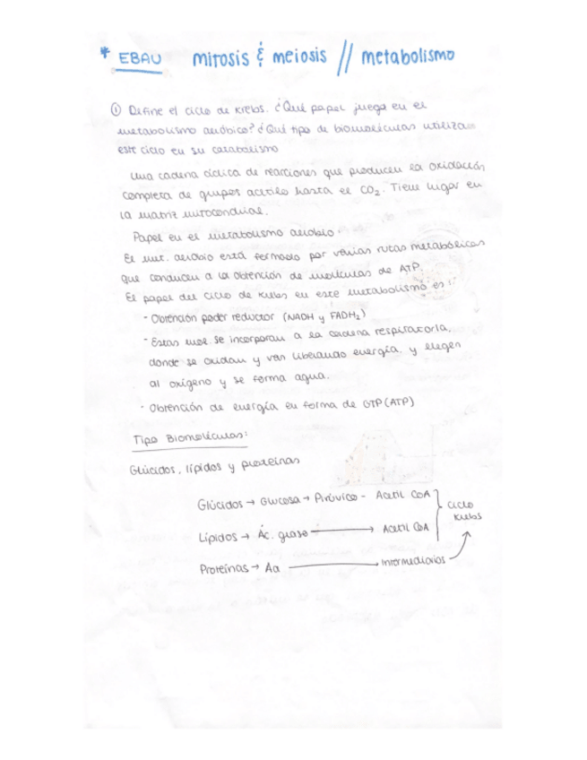 Miniatura del documento Ebau-Biolo.pdf