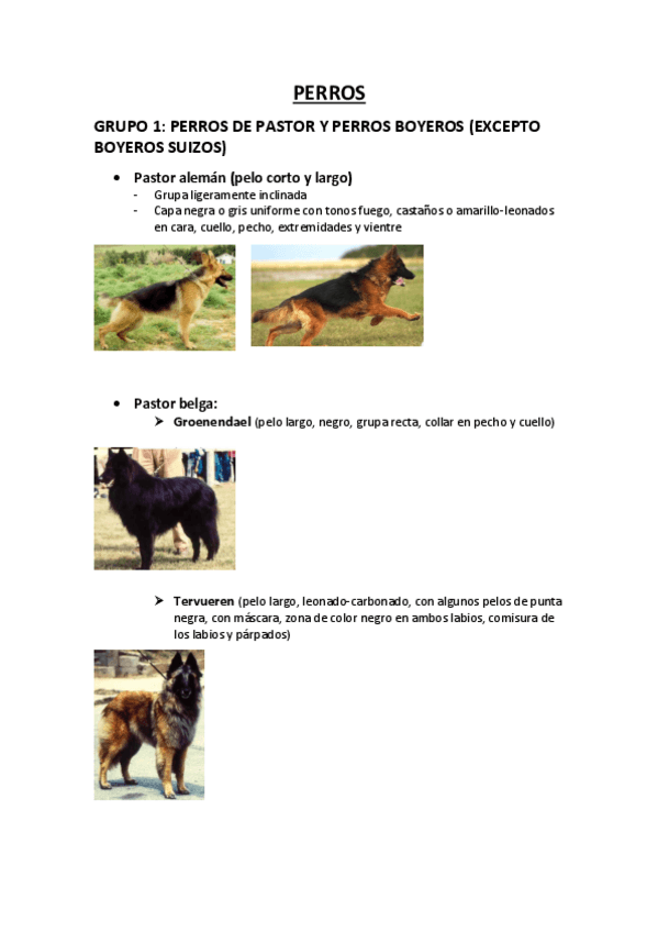 Miniatura del documento practica-perros.pdf