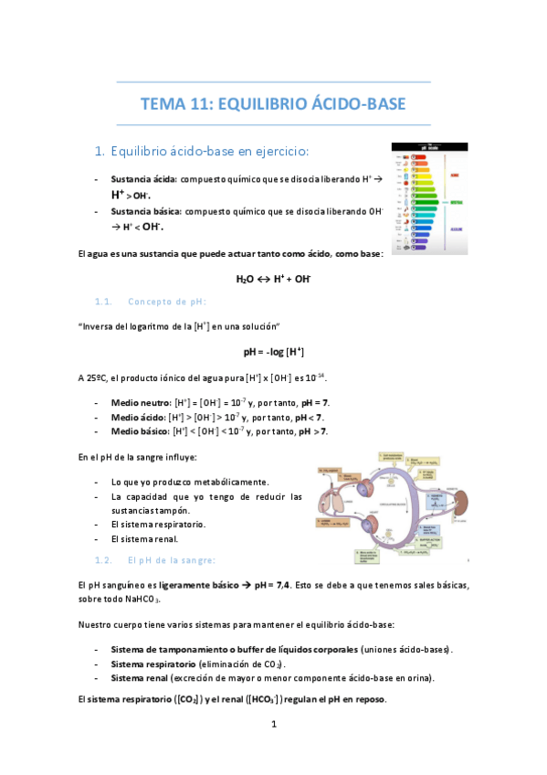 Miniatura del documento TEMA-11-EQUILIBRIO-ACIDOBASE.pdf