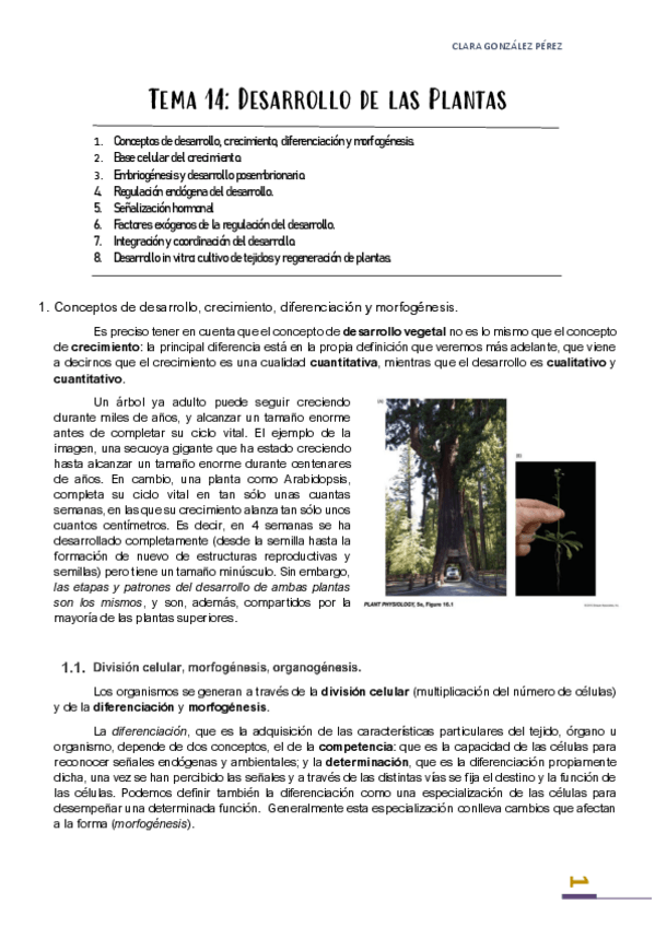 Miniatura del documento Tema-14.pdf