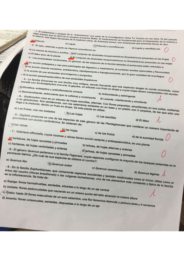 Miniatura del documento 1-PARCIAL-2.pdf