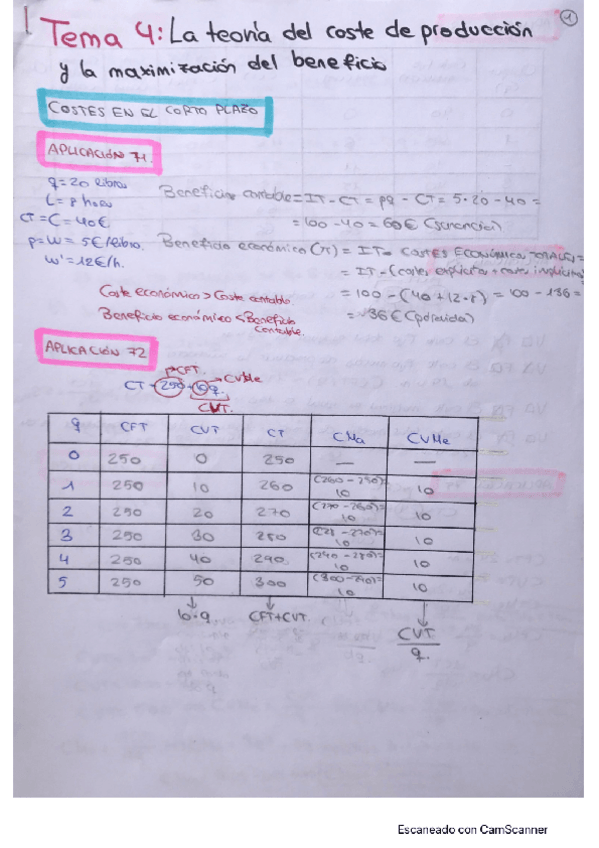 Miniatura del documento TEMA 4 ej y apps MANUEL SALAS.pdf