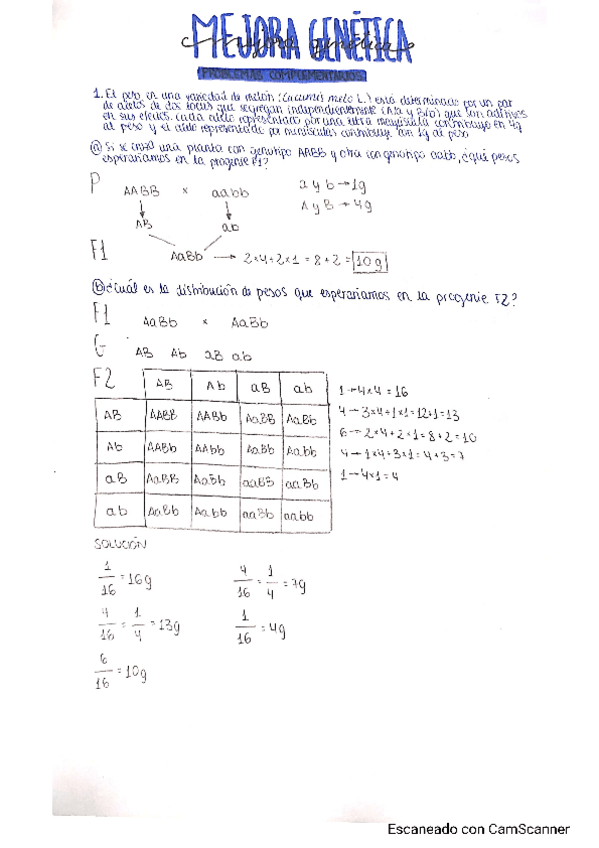 Miniatura del documento Problemas-complementarios.pdf