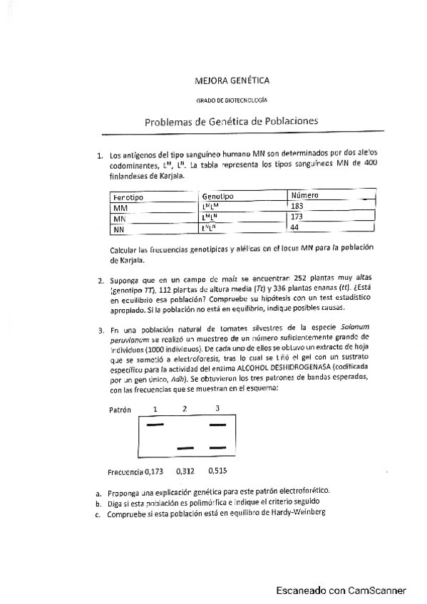 Miniatura del documento Genetica-de-poblaciones.pdf