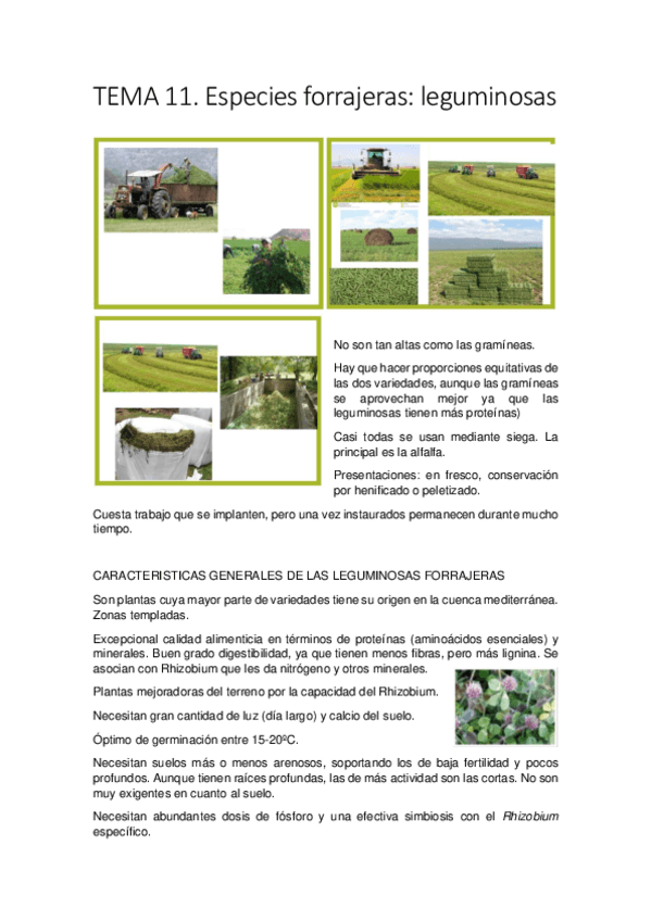 Miniatura del documento TEMA-11.pdf