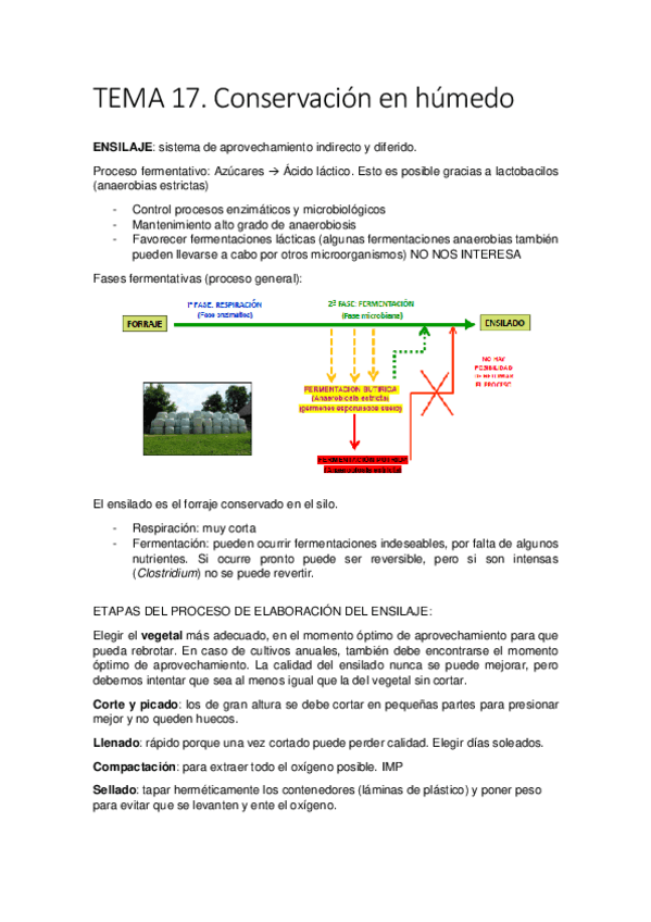 Miniatura del documento TEMA-17.pdf