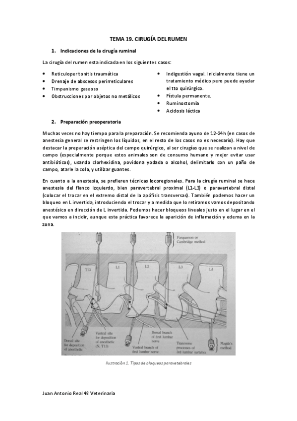 Miniatura del documento Tema-19.pdf