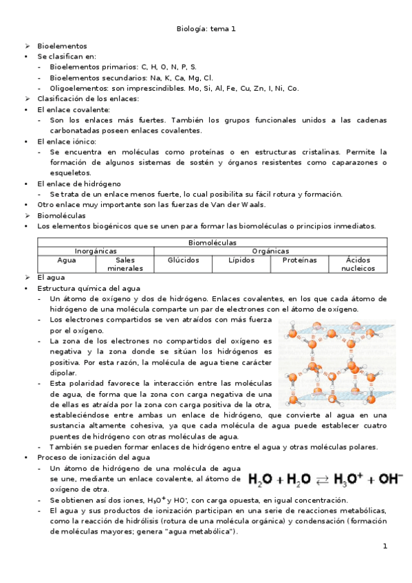 Miniatura del documento biologia-1.docx