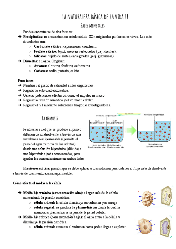Miniatura del documento La-naturaleza-basica-de-la-vida-II-.pdf