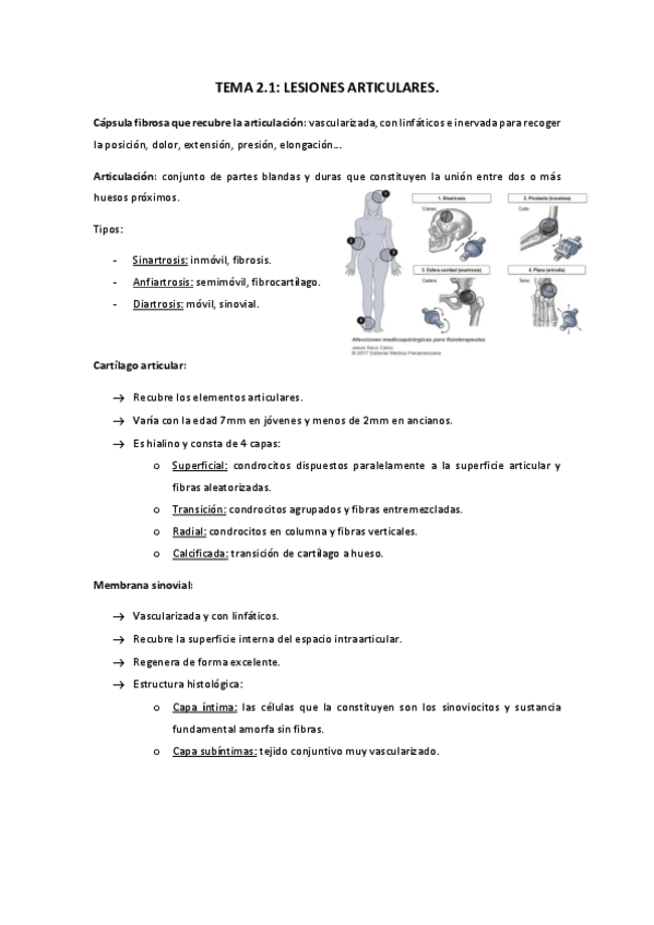 Miniatura del documento TEMA-2.pdf