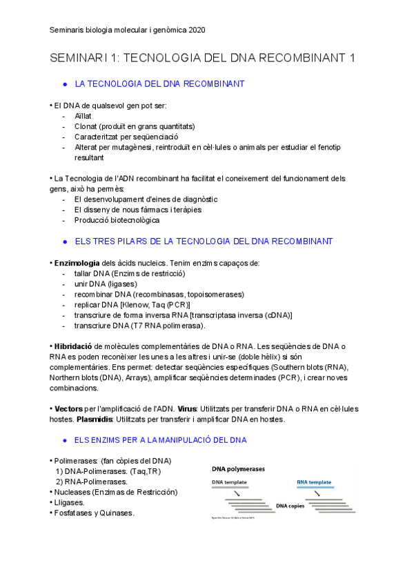 Miniatura del documento Seminari-1.pdf