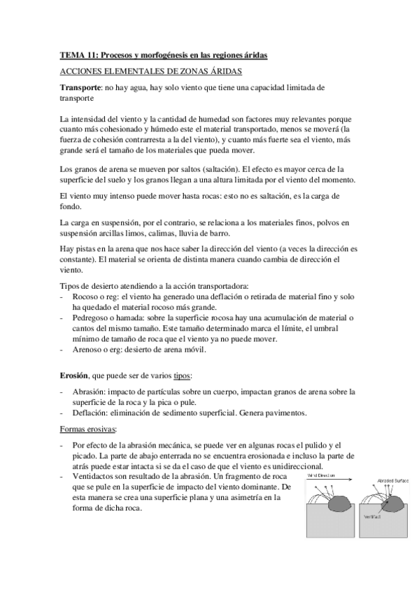 Miniatura del documento geologia-tema-11.pdf