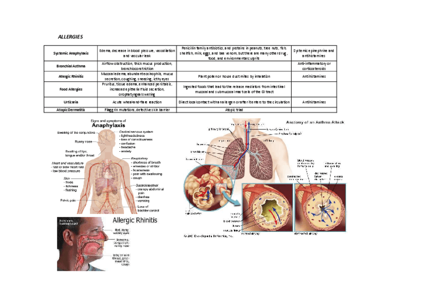 Miniatura del documento ALLEGIES.pdf