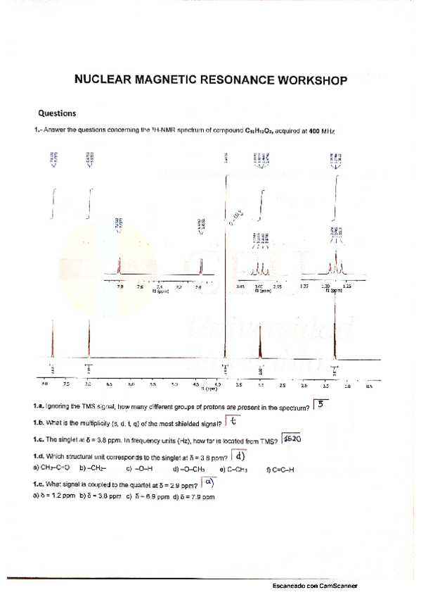 Miniatura del documento NMR-WORKSHOP.pdf