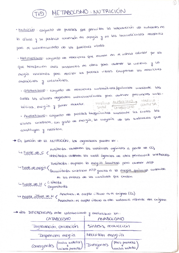Miniatura del documento 15.pdf