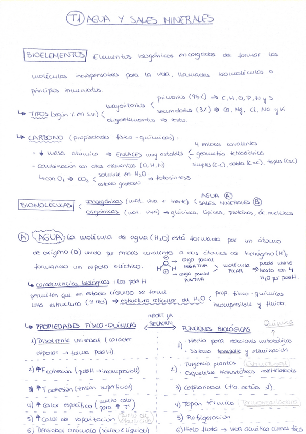 Miniatura del documento 1.pdf