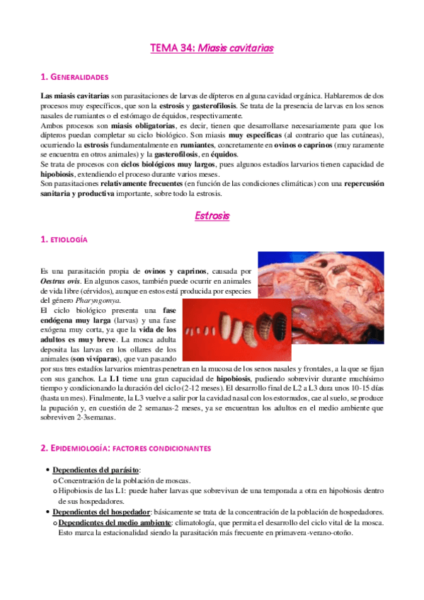 Miniatura del documento Tema-34-Miasis-cavitarias.pdf