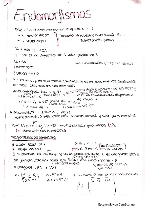 Miniatura del documento Endomorfismos.pdf