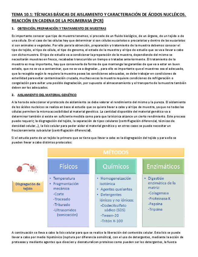 Miniatura del documento TEMA-10.pdf