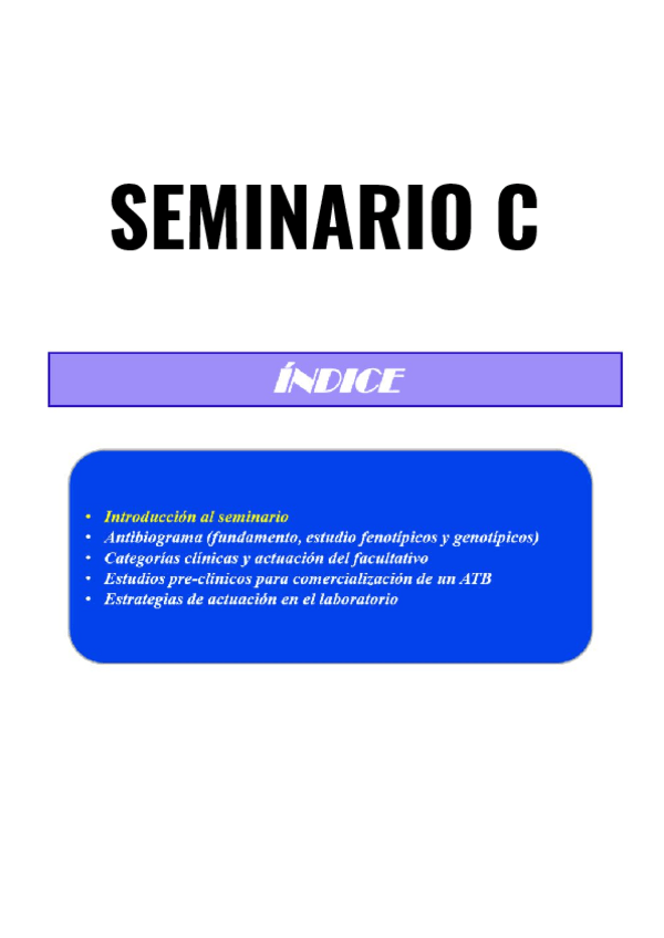 Miniatura del documento Seminario-C-micro.pdf