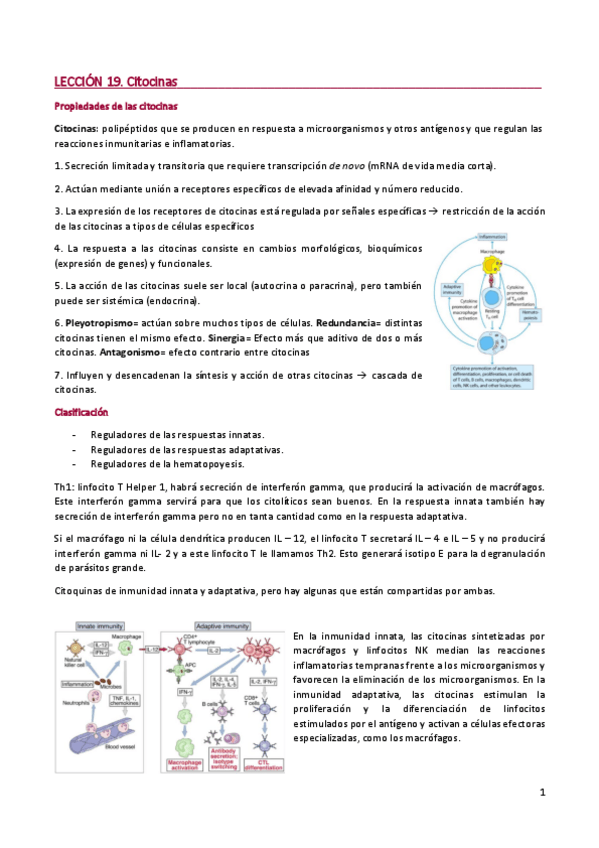 Miniatura del documento LECCIÓN 19. CITOCINAS.pdf
