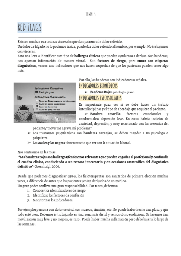 Miniatura del documento VALORACION-IBAI-Tema-3.REDFLAGSpdf